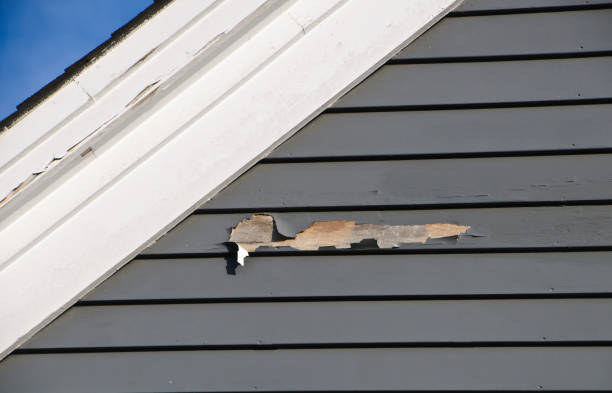 Best Storm Damage Siding Repair  in Muscoda, WI